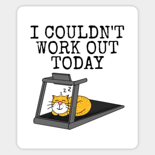 Cat Treadmill, I Couldn't Work Out Today, Fitness Funny Magnet